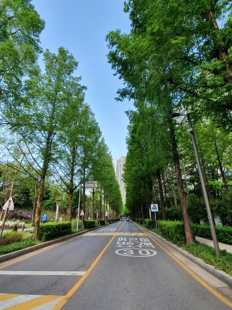 Yangjaecheon-gil (Yangjae Stream Trail)