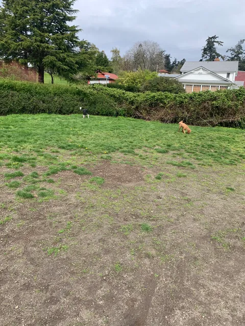 Chetzemoka Dog Park
