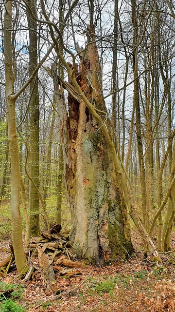 photo-1