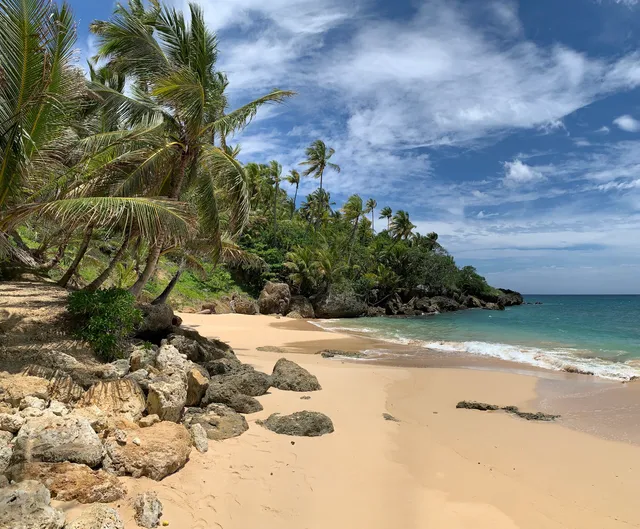 Playa Preciosa- Rio San Juan