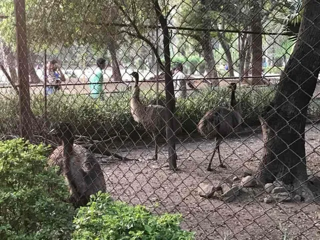 photo-2