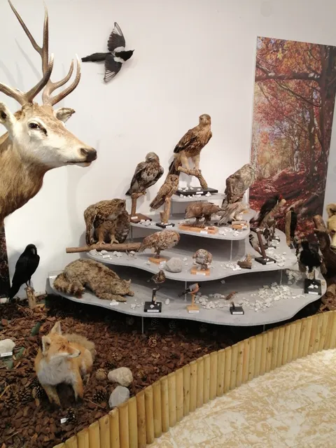 Hornonitrianske múzeum v Prievidzi