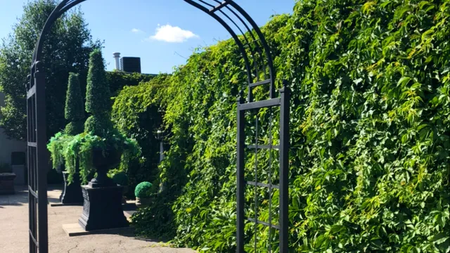 Dervilia art + design