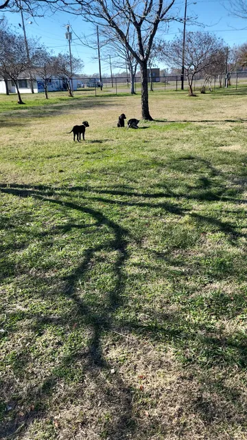 Vicksburg Dog Park