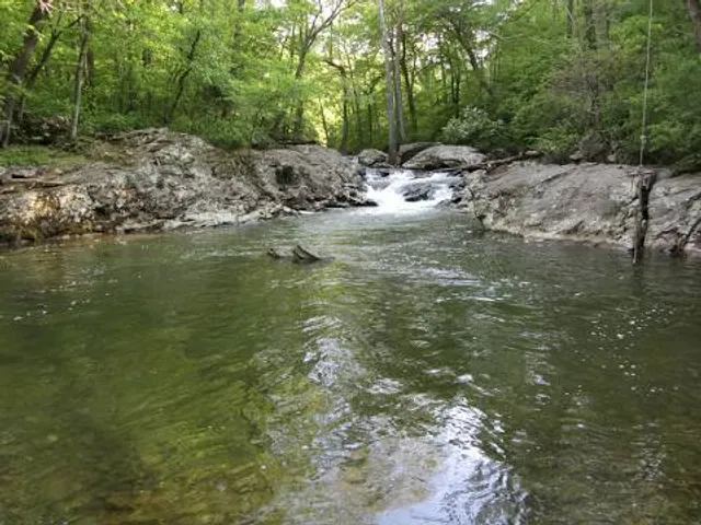 The Swimming Hole