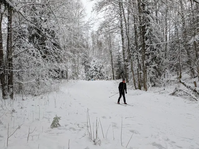 Uuejärve loodusrada