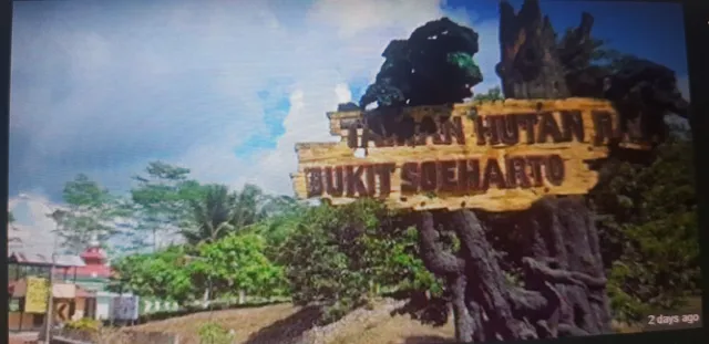 Soeharto Hill Forest Park