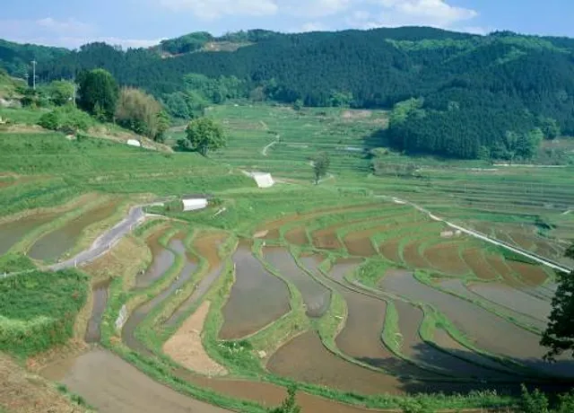 Ohaga-Nishi Rice Terrace