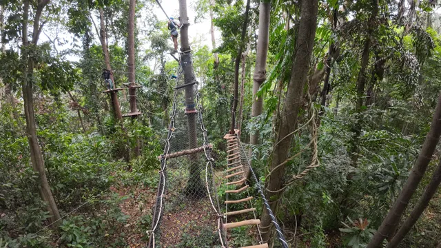 Tree Top Adventure Park Koh Chang