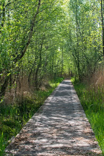 It Wikelslân Natuurgebied van het It Fryske Gea