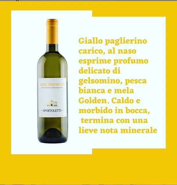Sportoletti Vini