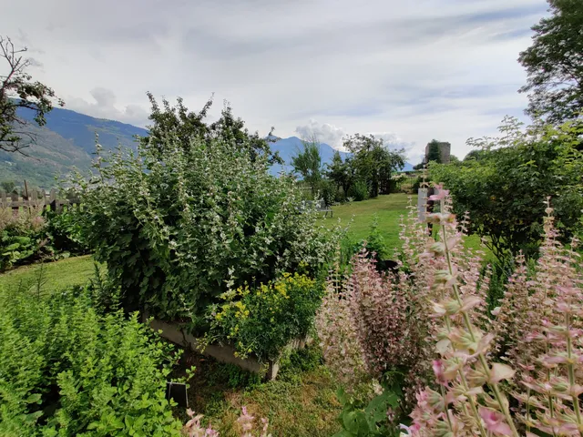 photo-2