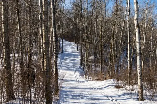 Strathcona Wilderness Centre