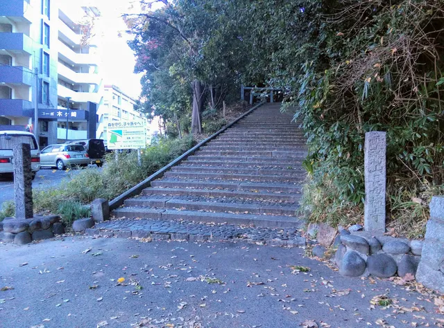 photo-1