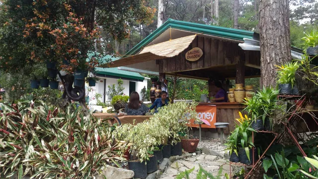 Panagbenga Park