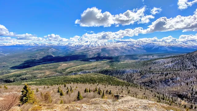 Mount Healy Overlook Trailhead