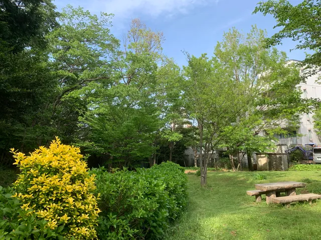 Shimizuiri Green Space