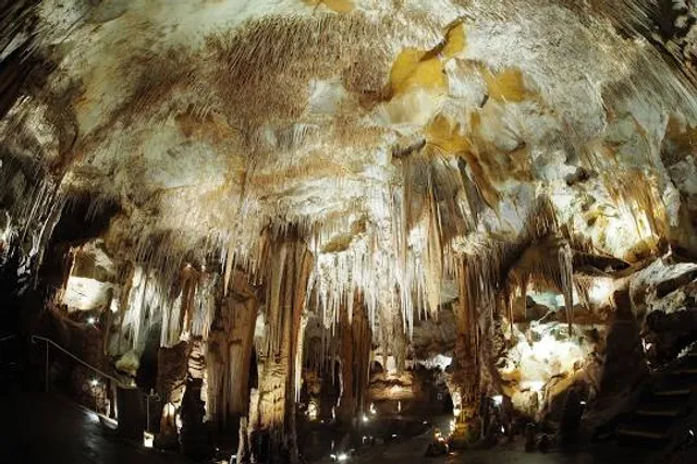 Wattle Range Council