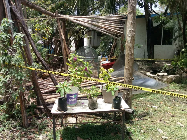 Fundación De Parques Y Museos De Cozumel