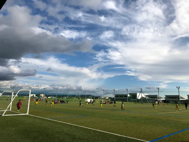 ゆめ公園 芝生広場