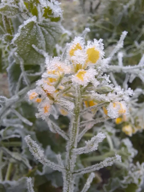 Am Wetterschacht 1936