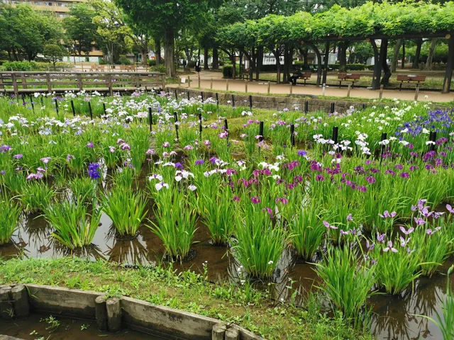 Shobunuma Park