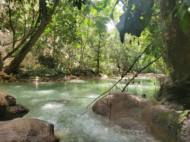 Mada Fed Nature River