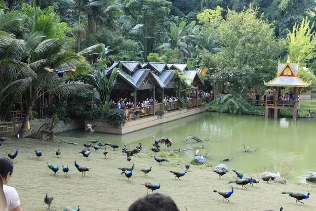 Xishuangbannan Primitive Forest Park （West Gate）