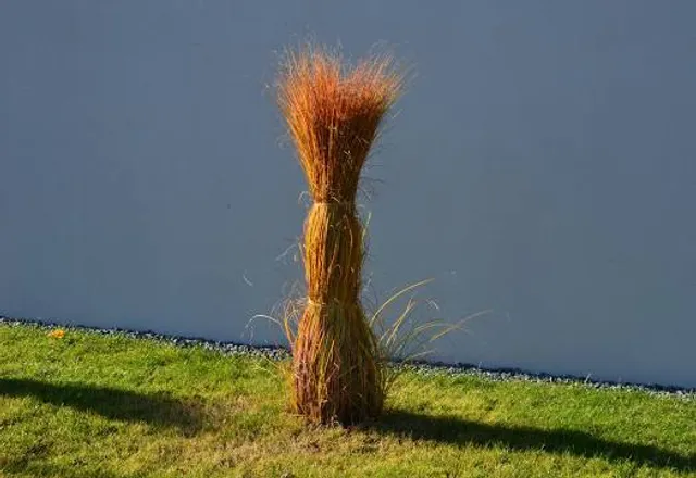 Österreichischer Skulpturen Park