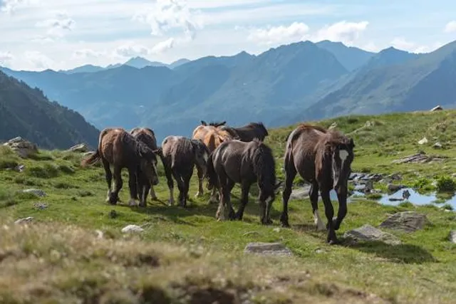 Refugi Borda de Sorteny