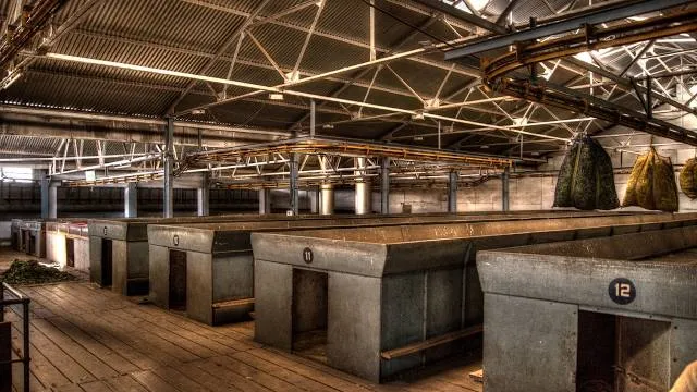 Highfield Tea Factory