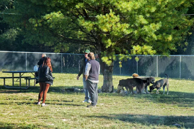 W. Leroy Lewis Dog Park