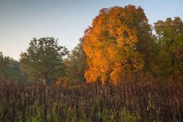 Battelle Darby Creek Metro Park