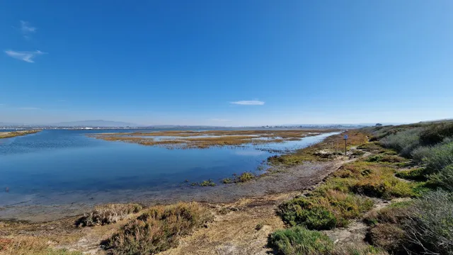 San Diego Bay National Wildlife Refuge