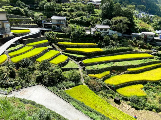 Choja village Rice Terraces