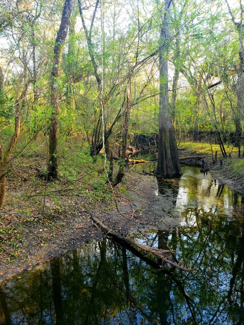 Flatwoods Park - Bruce B Downs Entrance