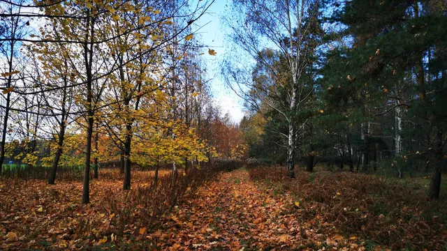 Rezerwat „Sasanki”