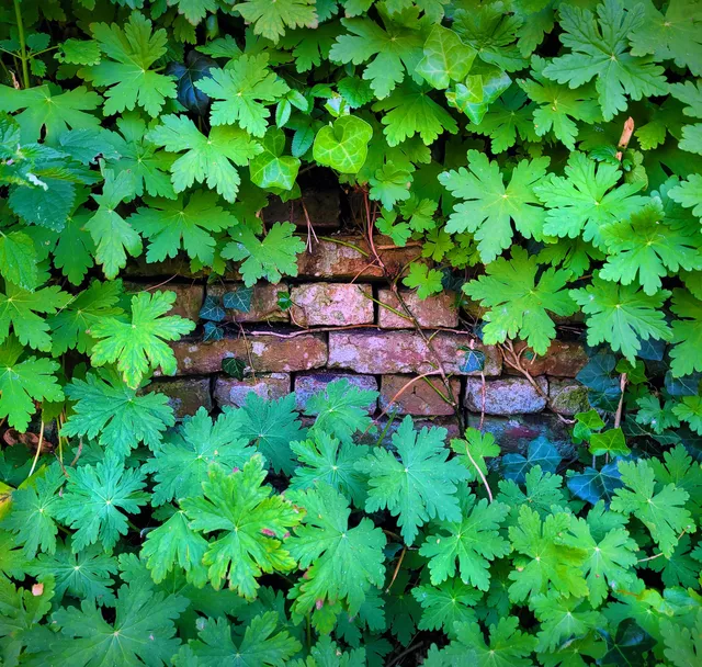 Ecokathedraal / Le Roy tuin Heerenveen