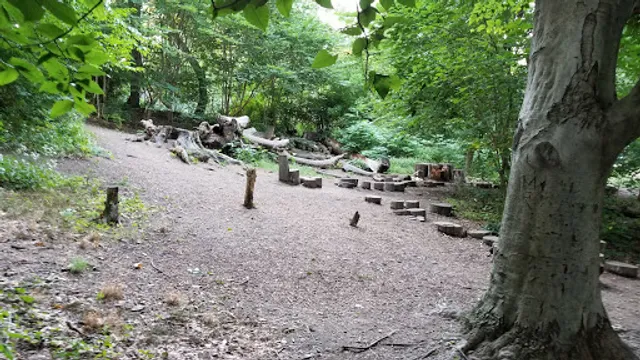 The Donald And Barbara Zucker Natural Exploration Area