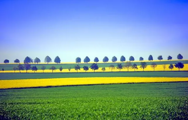 place image