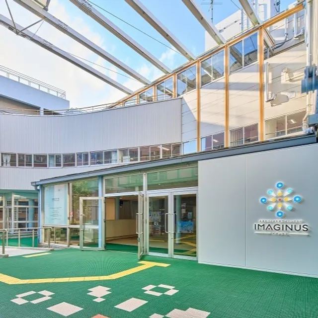 IMAGINUS