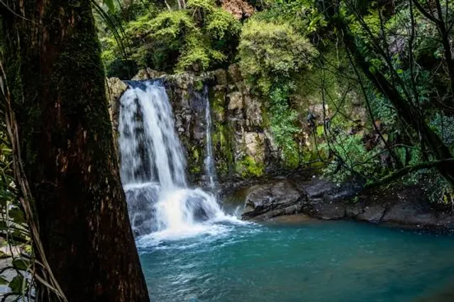 Waiau Falls