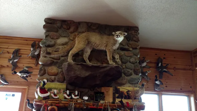 Lower Brule Wildlife