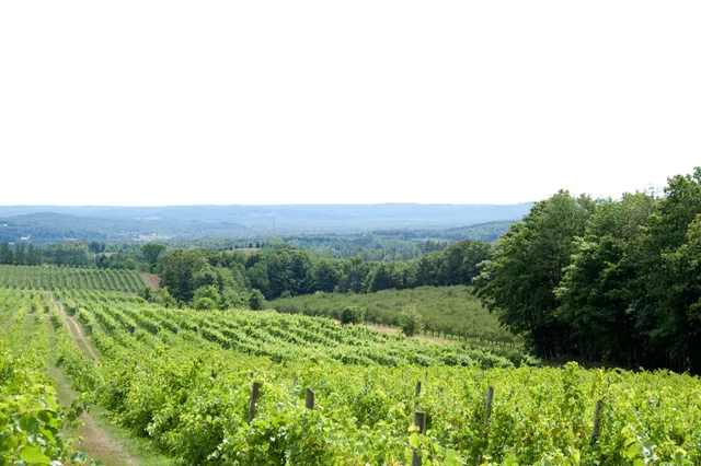 Good Harbor Vineyards