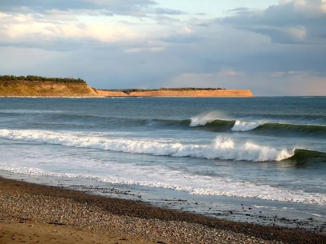 Lawrencetown Beach