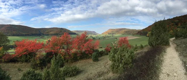 Löwenpfad Orchideenpfad