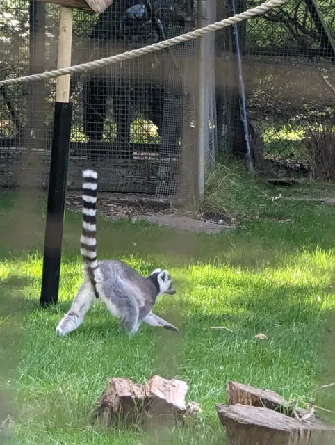 Golders Hill Park Zoo