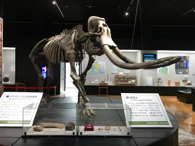 Hamamatsu City History Museum