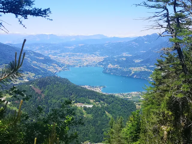 Respiro degli Alberi