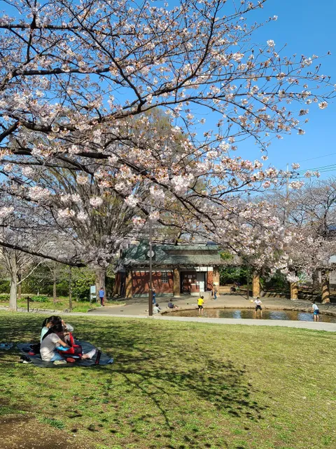 Sekimae Park